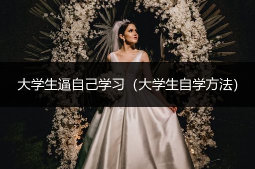 大学生逼自己学习（大学生自学方法）