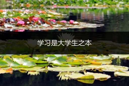 学习是大学生之本