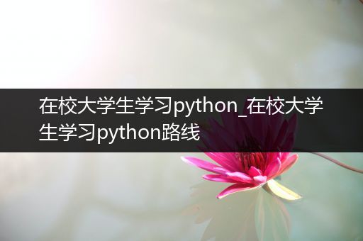 在校大学生学习python_在校大学生学习python路线