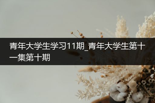 青年大学生学习11期_青年大学生第十一集第十期