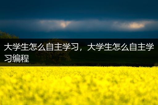 大学生怎么自主学习，大学生怎么自主学习编程