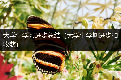 大学生学习进步总结（大学生学期进步和收获）