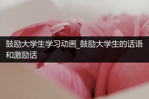 鼓励大学生学习动画_鼓励大学生的话语和激励话