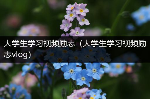 大学生学习视频励志（大学生学习视频励志vlog）
