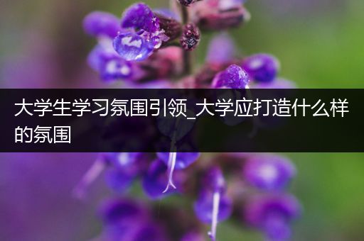 大学生学习氛围引领_大学应打造什么样的氛围