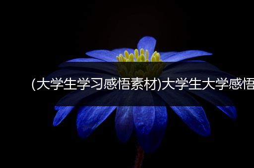 （大学生学习感悟素材)大学生大学感悟