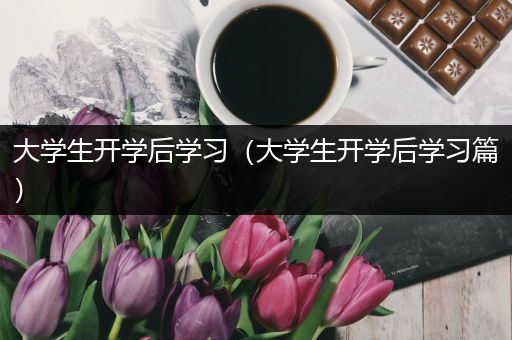大学生开学后学习（大学生开学后学习篇）