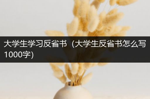 大学生学习反省书（大学生反省书怎么写1000字）