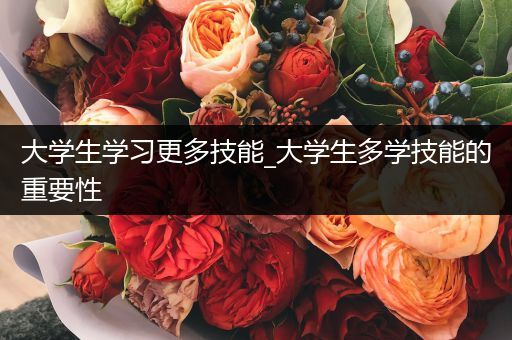 大学生学习更多技能_大学生多学技能的重要性