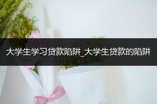 大学生学习贷款陷阱_大学生贷款的陷阱