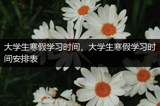 大学生寒假学习时间，大学生寒假学习时间安排表