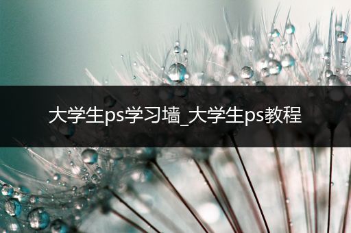 大学生ps学习墙_大学生ps教程