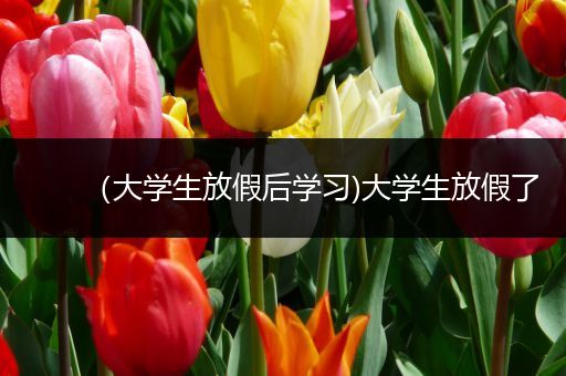 （大学生放假后学习)大学生放假了