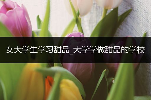 女大学生学习甜品_大学学做甜品的学校