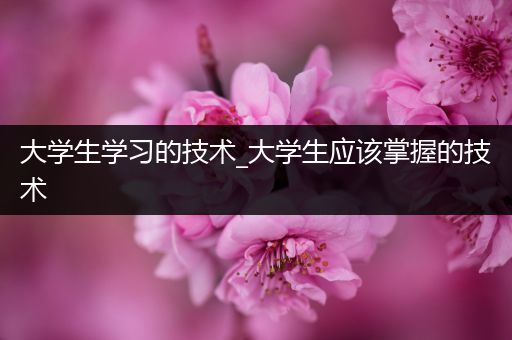 大学生学习的技术_大学生应该掌握的技术