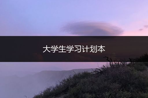 大学生学习计划本