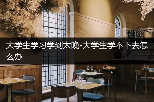 大学生学习学到太晚-大学生学不下去怎么办