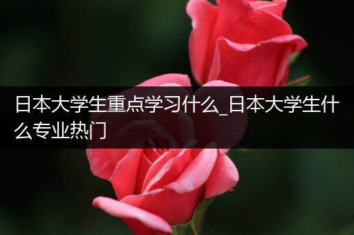 日本大学生重点学习什么_日本大学生什么专业热门