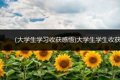 （大学生学习收获感悟)大学生学生收获