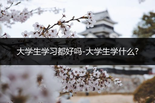 大学生学习都好吗-大学生学什么?