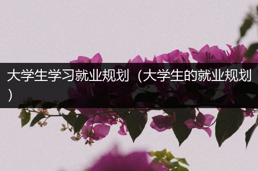 大学生学习就业规划（大学生的就业规划）