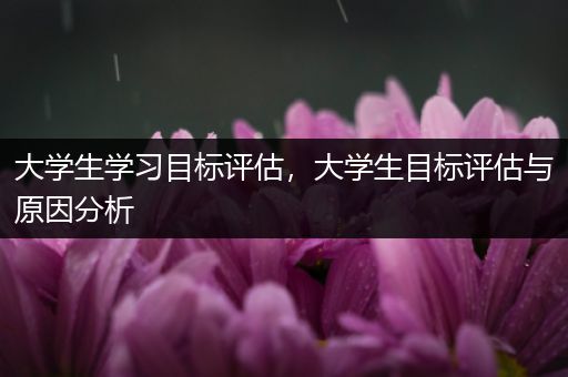 大学生学习目标评估，大学生目标评估与原因分析