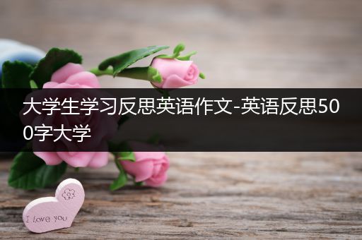 大学生学习反思英语作文-英语反思500字大学