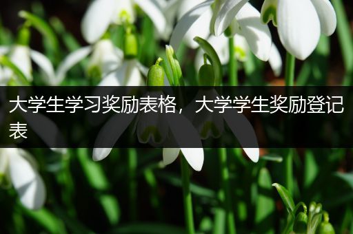 大学生学习奖励表格，大学学生奖励登记表