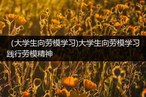 （大学生向劳模学习)大学生向劳模学习践行劳模精神