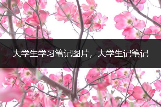 大学生学习笔记图片，大学生记笔记