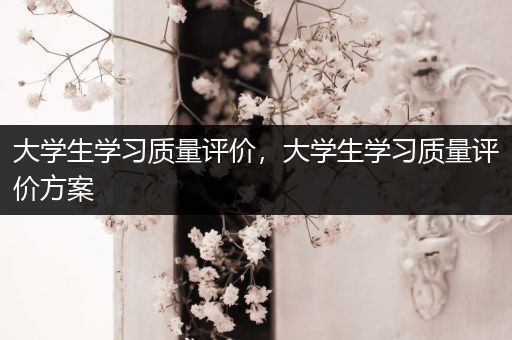 大学生学习质量评价，大学生学习质量评价方案