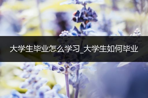 大学生毕业怎么学习_大学生如何毕业