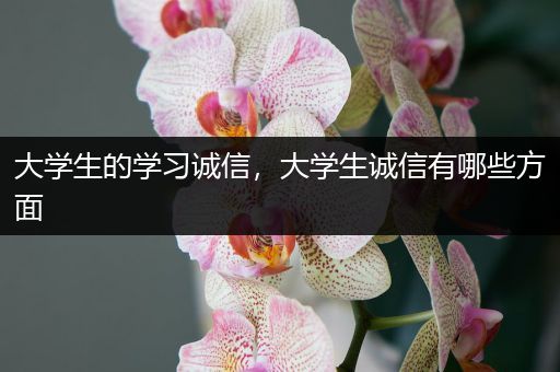 大学生的学习诚信，大学生诚信有哪些方面