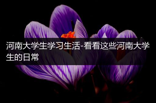 河南大学生学习生活-看看这些河南大学生的日常