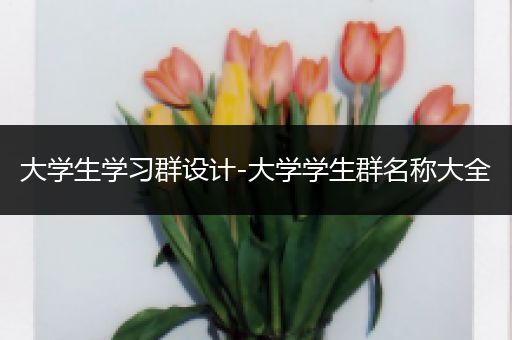 大学生学习群设计-大学学生群名称大全