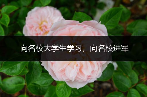 向名校大学生学习，向名校进军