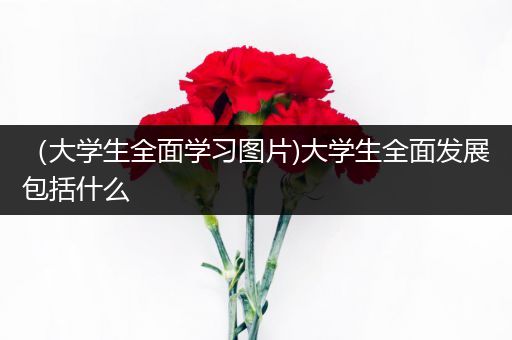 （大学生全面学习图片)大学生全面发展包括什么