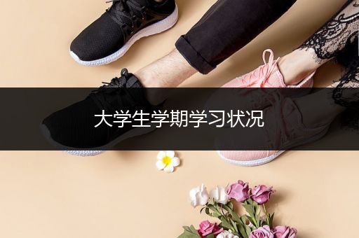 大学生学期学习状况