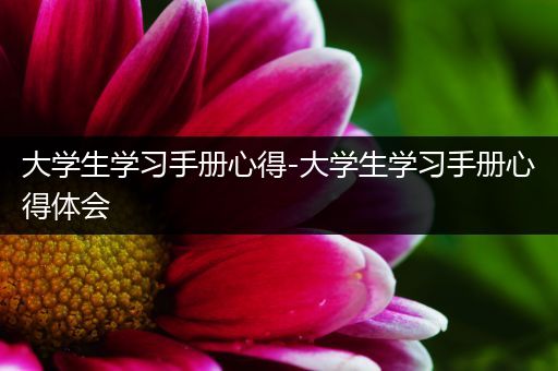 大学生学习手册心得-大学生学习手册心得体会