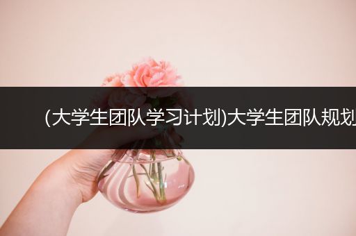 （大学生团队学习计划)大学生团队规划