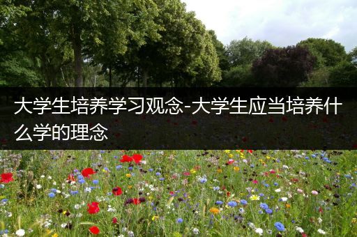 大学生培养学习观念-大学生应当培养什么学的理念