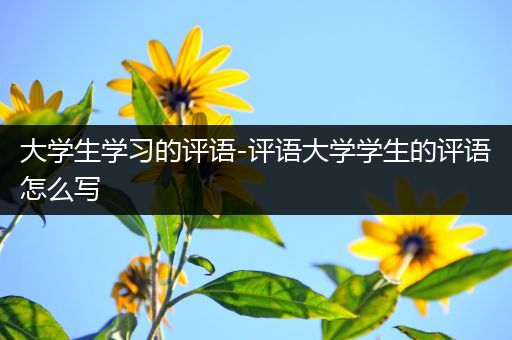 大学生学习的评语-评语大学学生的评语怎么写