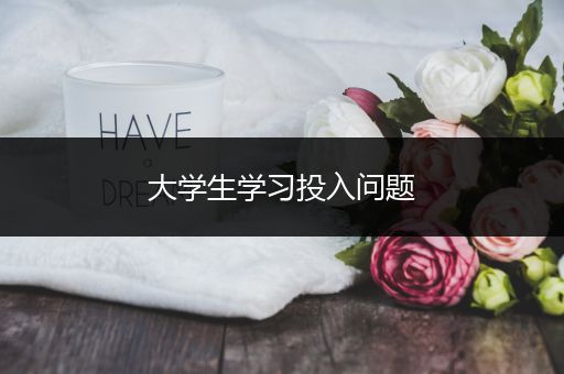 大学生学习投入问题