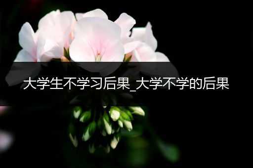 大学生不学习后果_大学不学的后果