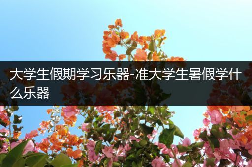 大学生假期学习乐器-准大学生暑假学什么乐器