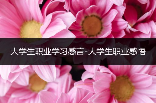 大学生职业学习感言-大学生职业感悟