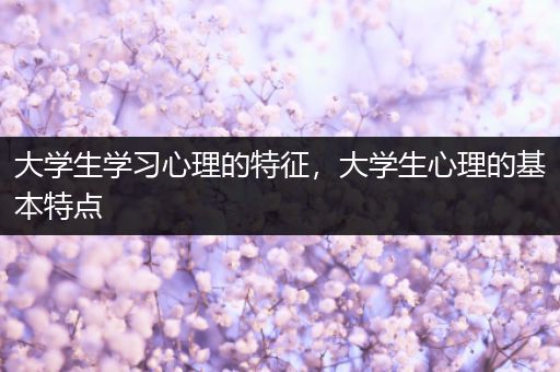 大学生学习心理的特征，大学生心理的基本特点