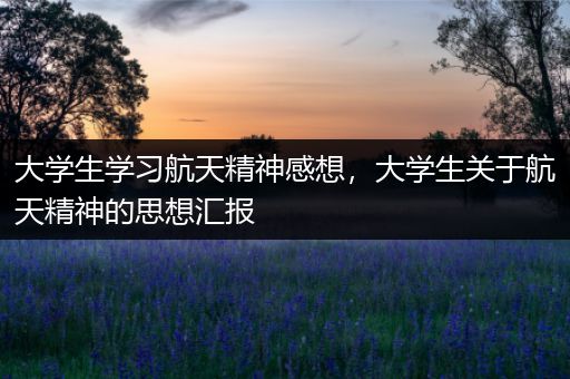 大学生学习航天精神感想，大学生关于航天精神的思想汇报