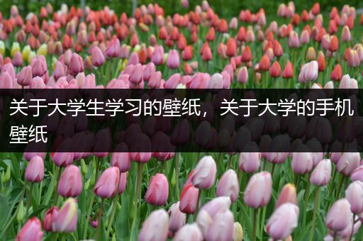 关于大学生学习的壁纸，关于大学的手机壁纸
