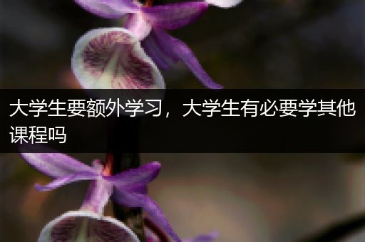 大学生要额外学习，大学生有必要学其他课程吗